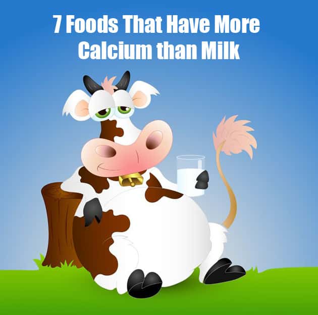 7 Foods That Have More Calcium Than Milk